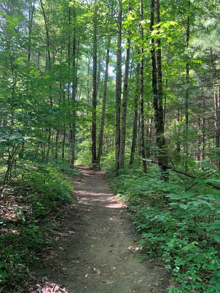 Ohiopyle, PA